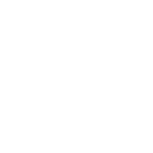 icon10