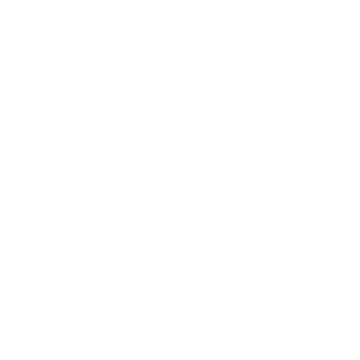 icon2 1