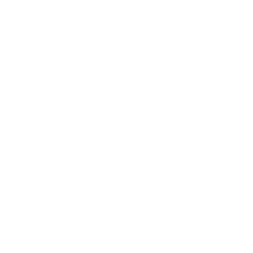 icon9
